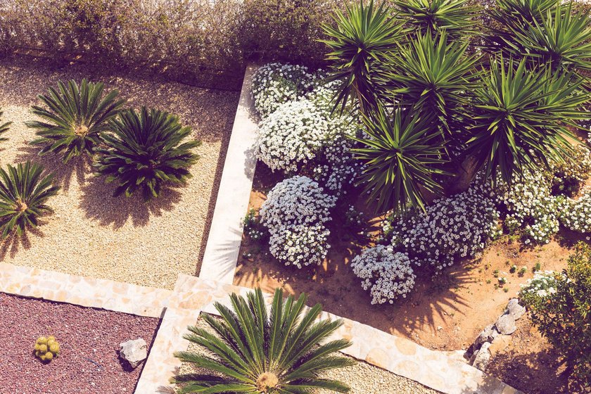 Landscape design with palm trees and flowers. Top view of the modern garden design with a terrace