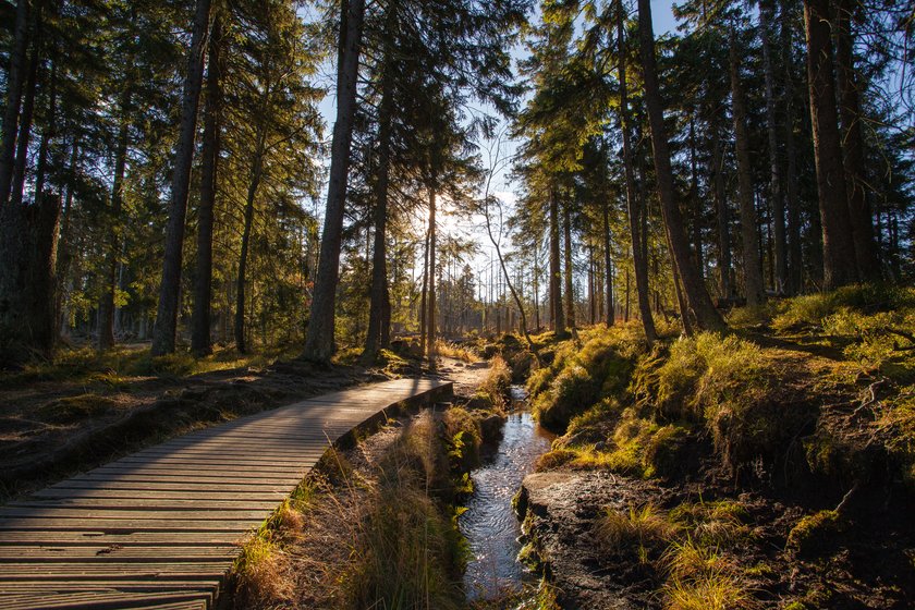 Urlaub Deutschland schönste Orte Sachsen-Anhalt