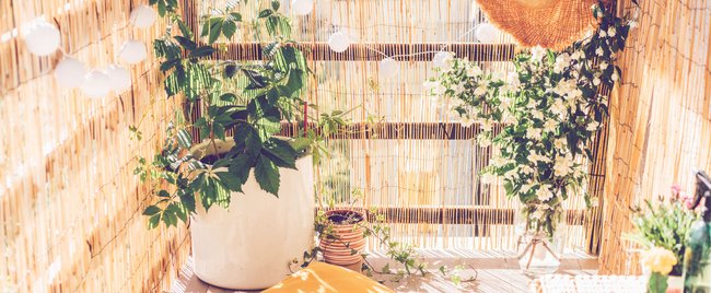 Diese 10 Dekoteile von Ernsting's family sind eine echte Verschönerung für Garten und Balkon