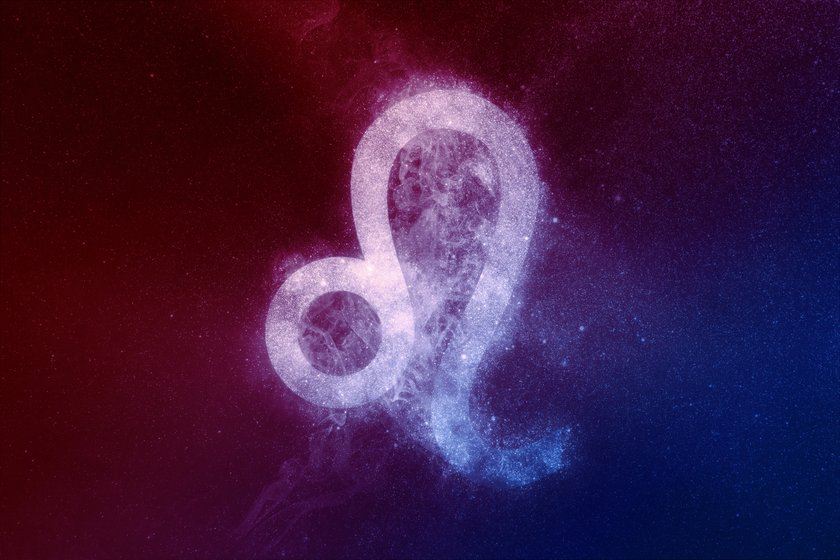 Diese Krafttiere haben Einfluss auf dein persönliches Sternzeichen