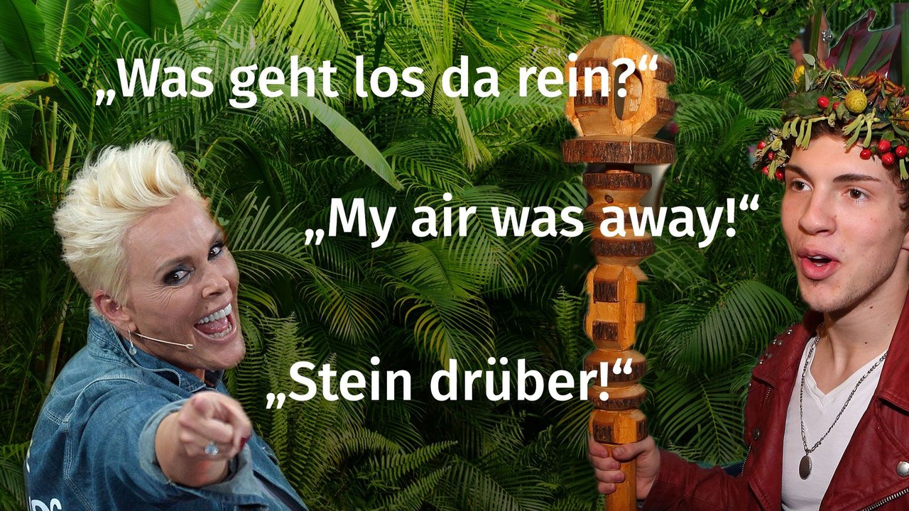 Dschungelcamp Quiz